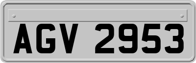 AGV2953