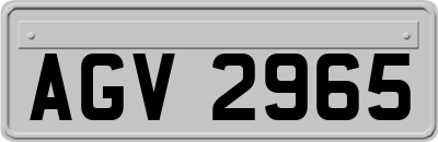 AGV2965