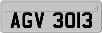 AGV3013