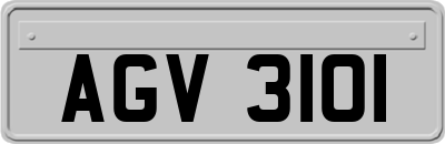 AGV3101