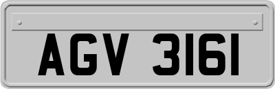 AGV3161