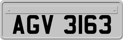 AGV3163