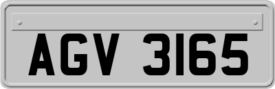 AGV3165