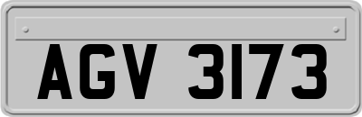 AGV3173
