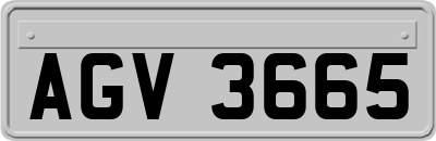 AGV3665