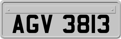 AGV3813
