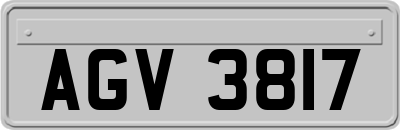 AGV3817