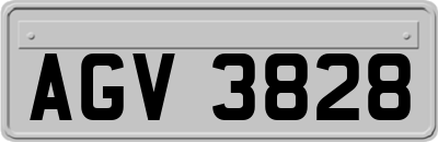 AGV3828