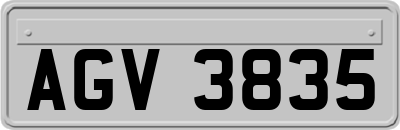 AGV3835