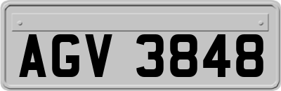 AGV3848