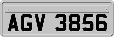 AGV3856