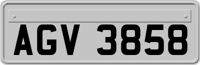 AGV3858