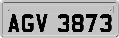 AGV3873