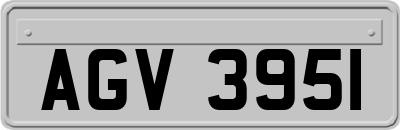 AGV3951