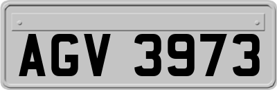 AGV3973