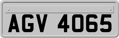 AGV4065