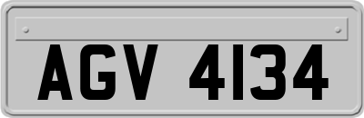 AGV4134