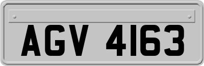 AGV4163