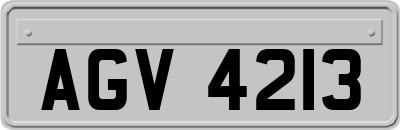 AGV4213
