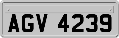AGV4239