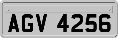 AGV4256