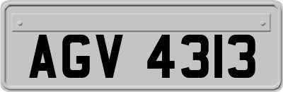 AGV4313