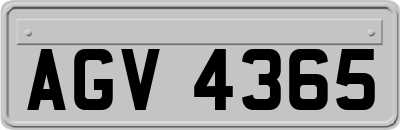 AGV4365