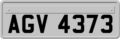 AGV4373