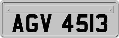 AGV4513