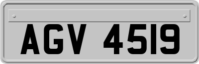 AGV4519