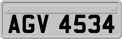 AGV4534