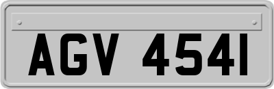 AGV4541