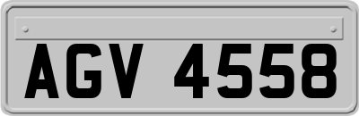 AGV4558