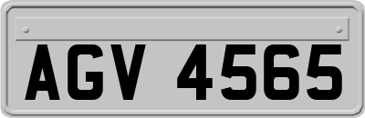 AGV4565