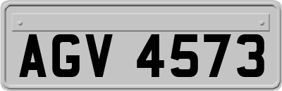 AGV4573