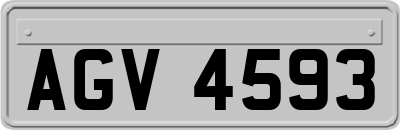 AGV4593
