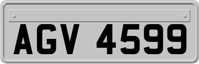AGV4599