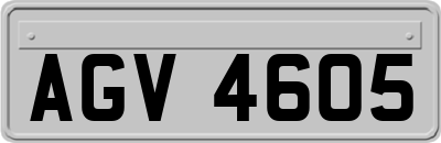 AGV4605