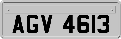 AGV4613