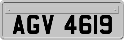 AGV4619