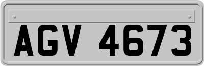 AGV4673