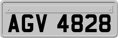 AGV4828