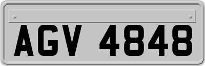 AGV4848
