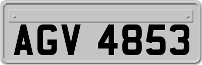 AGV4853