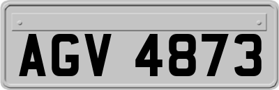 AGV4873