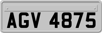 AGV4875
