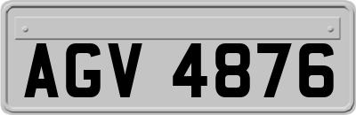 AGV4876