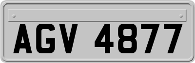 AGV4877