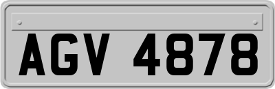 AGV4878