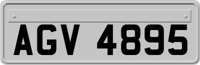AGV4895